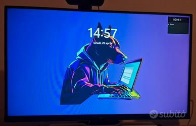 Monitor PC LG FHD 24 pollici