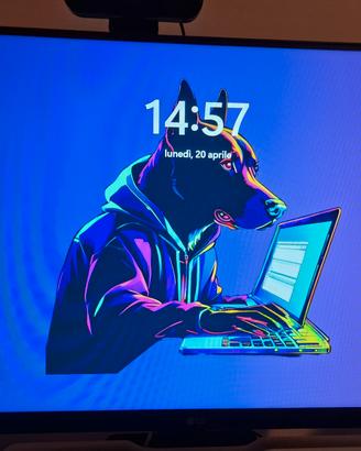 Monitor PC LG FHD 24 pollici