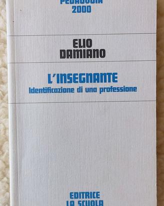 Elio Damiano, "L'insegnante", La Scuola 2004