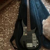 Basso elettrico Soundgear by Ibanez