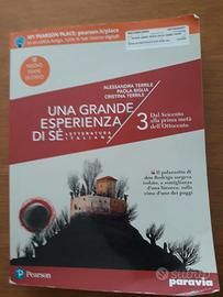 Una grande esperienza di sé 3" di Terrile,  Biglia