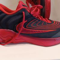 Scarpa Basket Nike nr.43