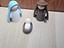 Immagine 2