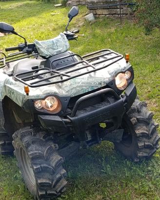 Kawasaki brute force 750