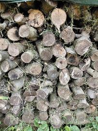 legna da ardere taglio camino-stufa essiccata.