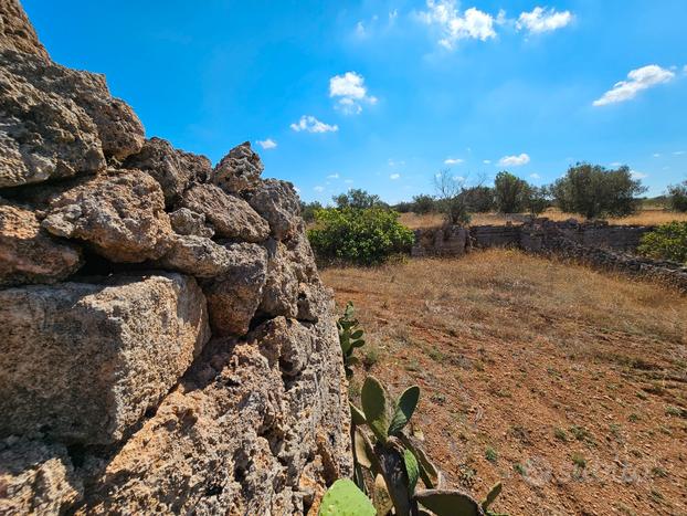 Terreno agricolo con trullo in posizione strategic