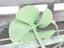 Immagine 28