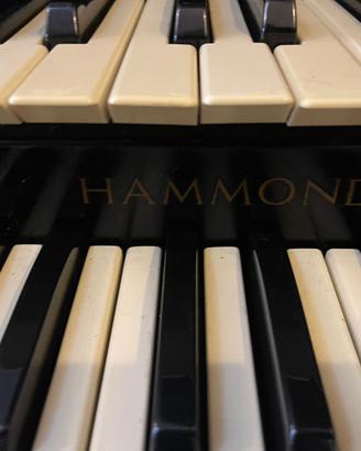 Hammond M143 tonewheel anni ’60 USA