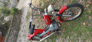 Benelli export 50cc