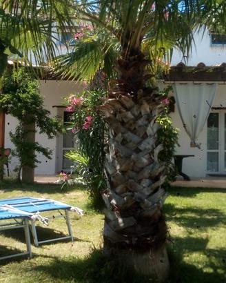 Last minut Sardegna