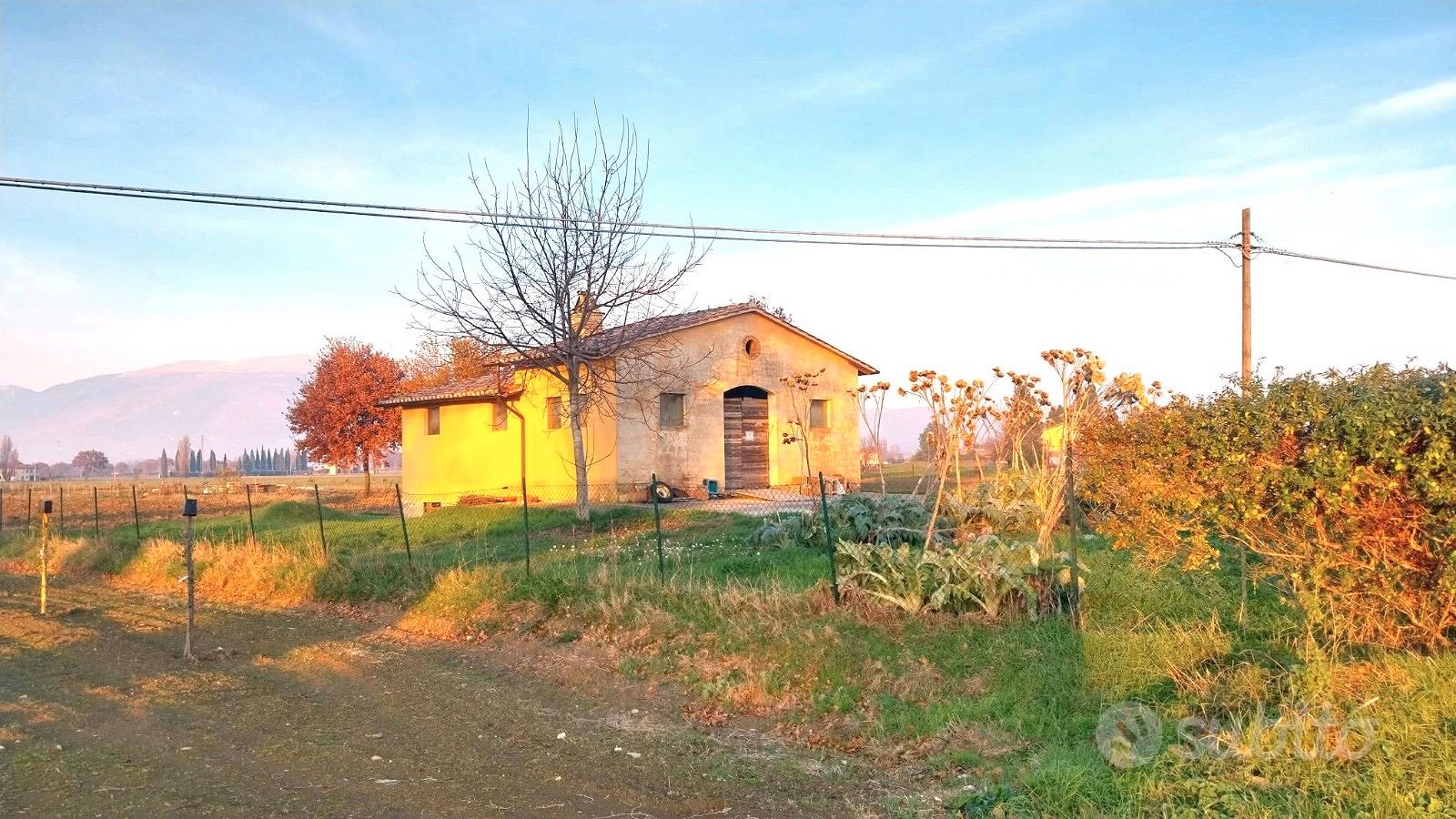 Annesso agricolo con terreno - Vista 2