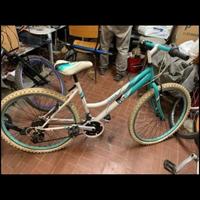 Bicicletta