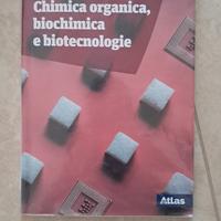 Libro Zanichelli
