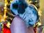 Immagine 4