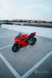 Panigale v2 2024