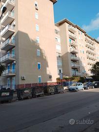 Appartamento 5 vani - Tripla esp. - C.so dei Mille