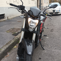 Benelli bn251 2020