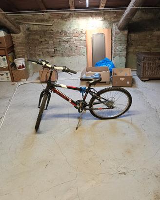 bicicletta per bambini 