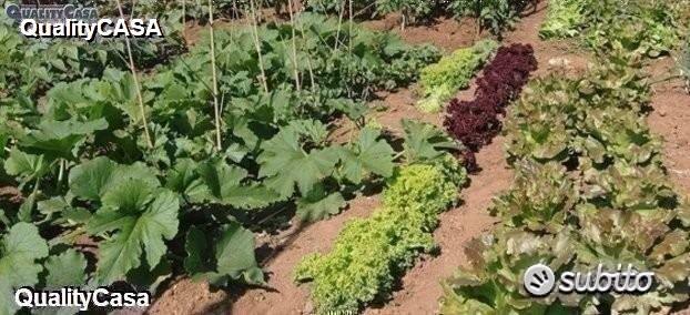 Lotti agricoli per orto a Chiaravalle