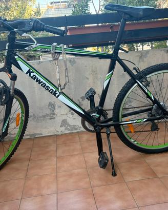Bicicletta Kawasaki