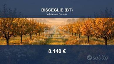 Immobile in asta di 4642 m² a Bisceglie