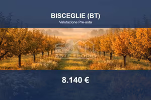 Immobile in asta di 4642 m² a Bisceglie