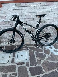 Mountain Bike Focus Raven 29 in carbonio