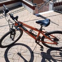 bicicletta 24 mondial alluminio