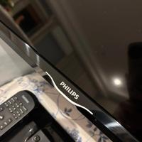 TV 21 pollici Philips completa di base e telecoman