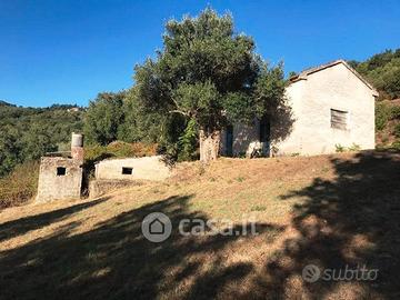 Rudere con 6.000 mt di terreno