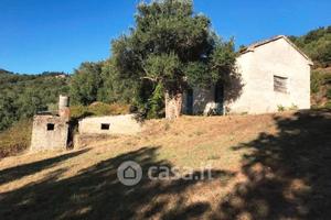Rudere con 6.000 mt di terreno