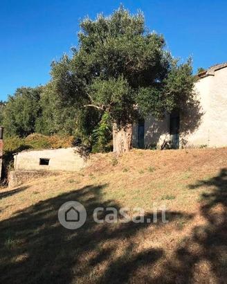 Rudere con 6.000 mt di terreno