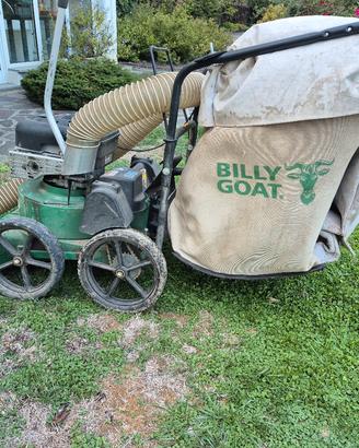 Aspiratore foglie professionale Billy Goat