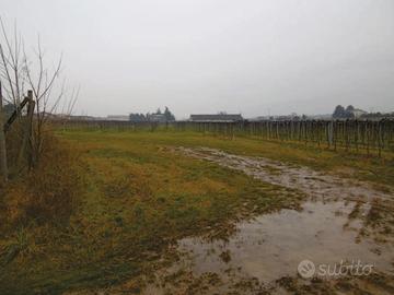 RGE 332/2024 Tribunale Verona