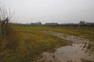 RGE 332/2024 Tribunale Verona