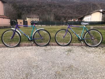 Biciclette Mountain Bike