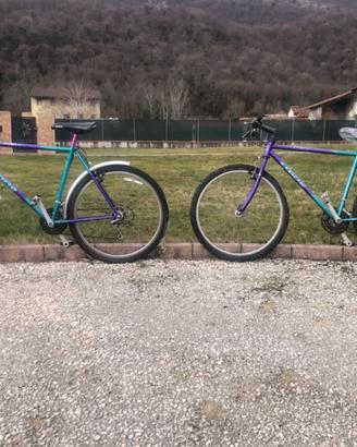 Biciclette Mountain Bike