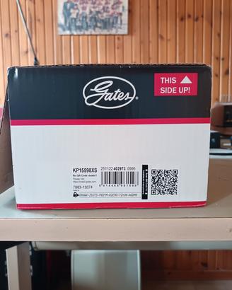 kit distribuzione Ford Focus tdci  1.6 tdci