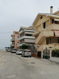 Pineto. Ultima disponibilità