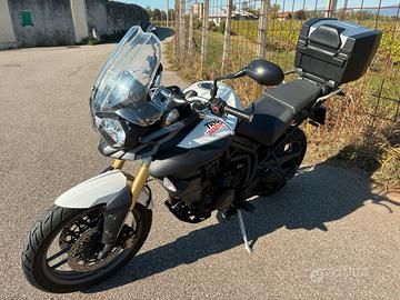 Triumph Tiger 800 Abs