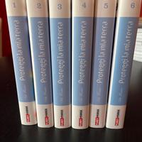 Proteggi la mia terra (1 a 6)