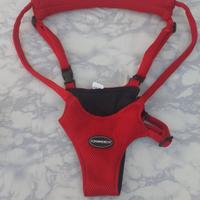 Porta bimbo primi passi