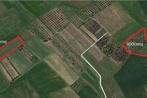 Monastir , terreno agricolo di 9100mq