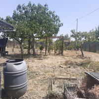 Quota terreno a Grosseto