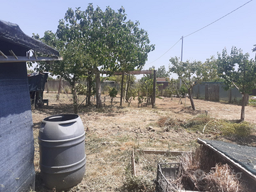 Quota terreno a Grosseto