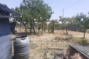 Quota terreno a Grosseto