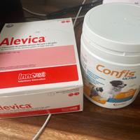 Alevica