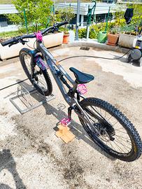 specialized Status 2022