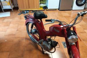 motorino 50 cc