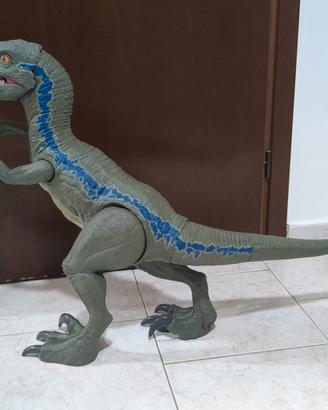 velociraptor Blue super colossal 